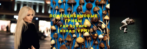 МДПВ Балахна